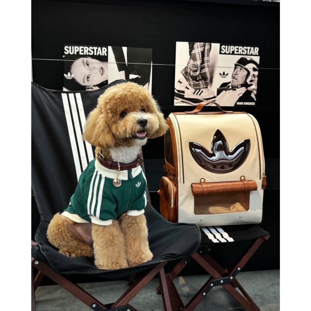 【BKS】ADIDAS ORIGINALS 三葉草 時尚 寵物外出 後背包/KH3419/國外代購-細節圖5
