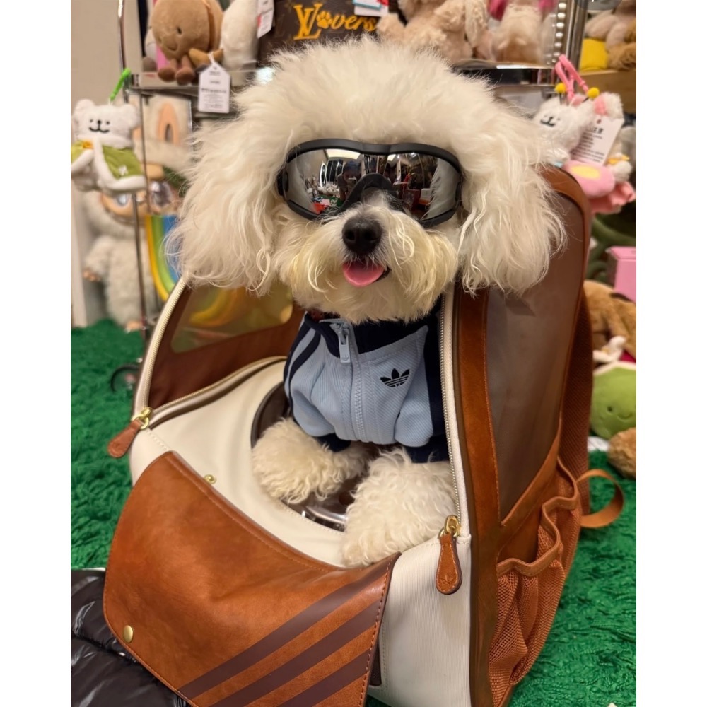 【BKS】ADIDAS ORIGINALS 三葉草 時尚 寵物外出 後背包/KH3419/國外代購-細節圖6