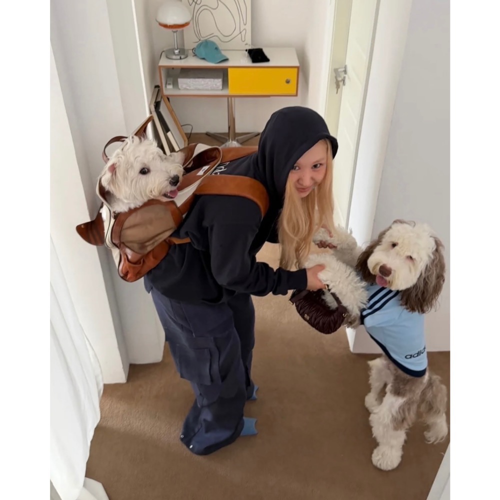 【BKS】ADIDAS ORIGINALS 三葉草 時尚 寵物外出 後背包/KH3419/國外代購-細節圖7