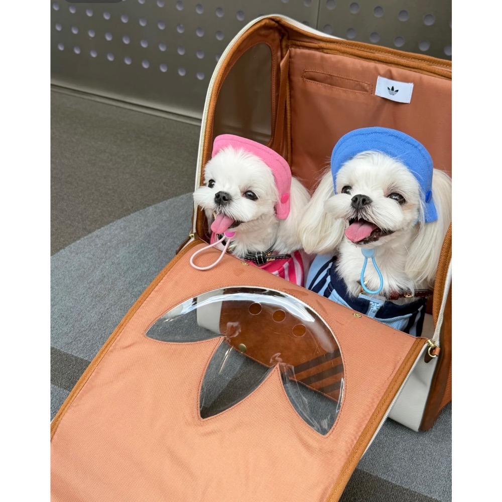 【BKS】ADIDAS ORIGINALS 三葉草 時尚 寵物外出 後背包/KH3419/國外代購-細節圖8