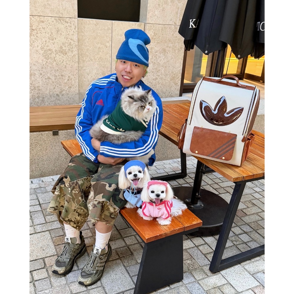 【BKS】ADIDAS ORIGINALS 三葉草 時尚 寵物外出 後背包/KH3419/國外代購-細節圖9