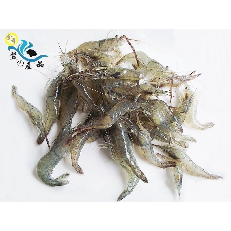 新鮮活體冷凍 小蝦(土仔蝦) 冷凍小蝦 餵餌食用皆可 一盒一台斤裝-細節圖2