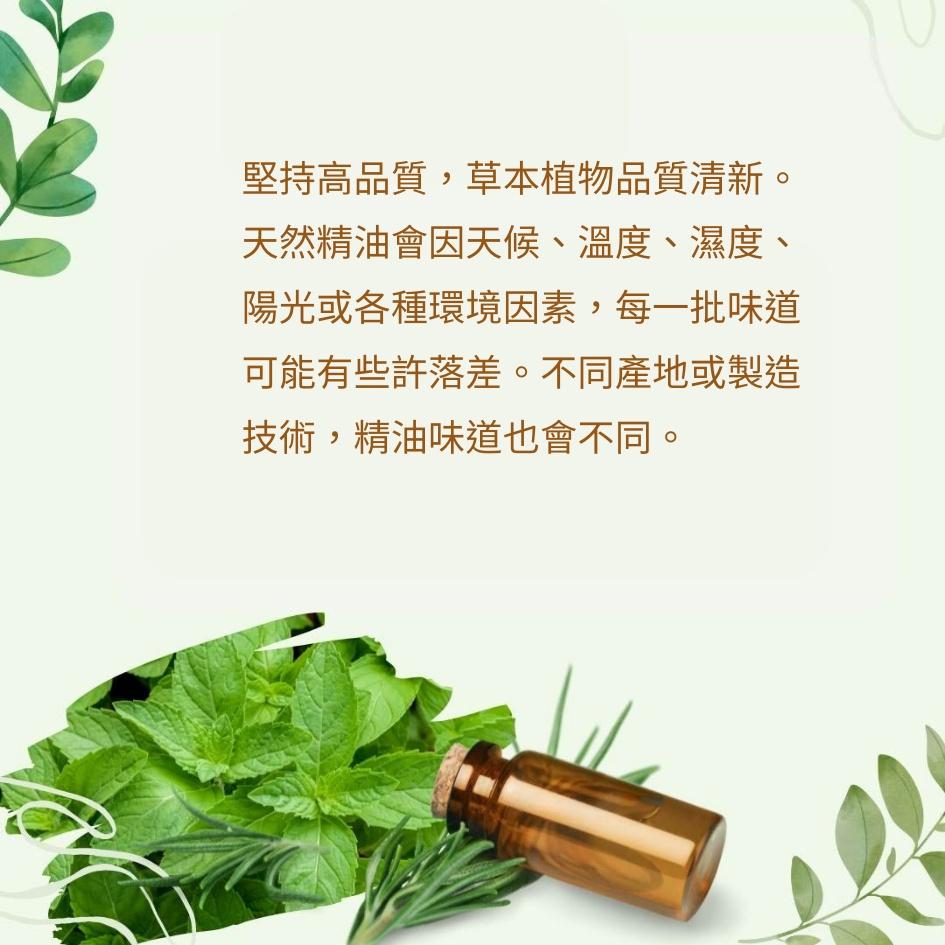 正東昇 檜木油 薄荷油 黑金剛香茅油 樟腦油 薰衣草油 尤加利油 茶樹油 10ml滾珠款-細節圖6