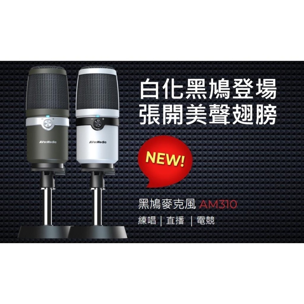 AVERMEDIA AM310圓剛黑鳩麥克風/練唱/直播/電競專業麥克風-黑色-細節圖3