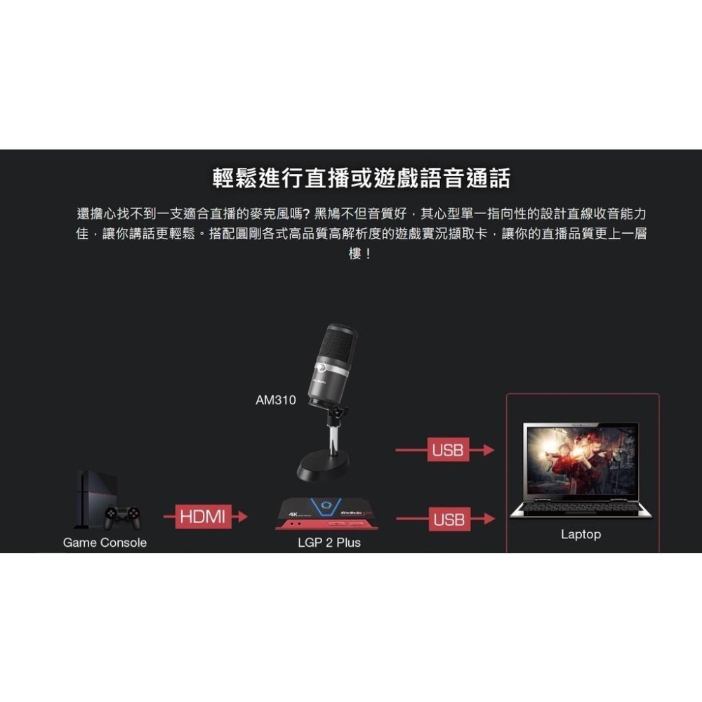 AVERMEDIA AM310圓剛黑鳩麥克風/練唱/直播/電競專業麥克風-黑色-細節圖7