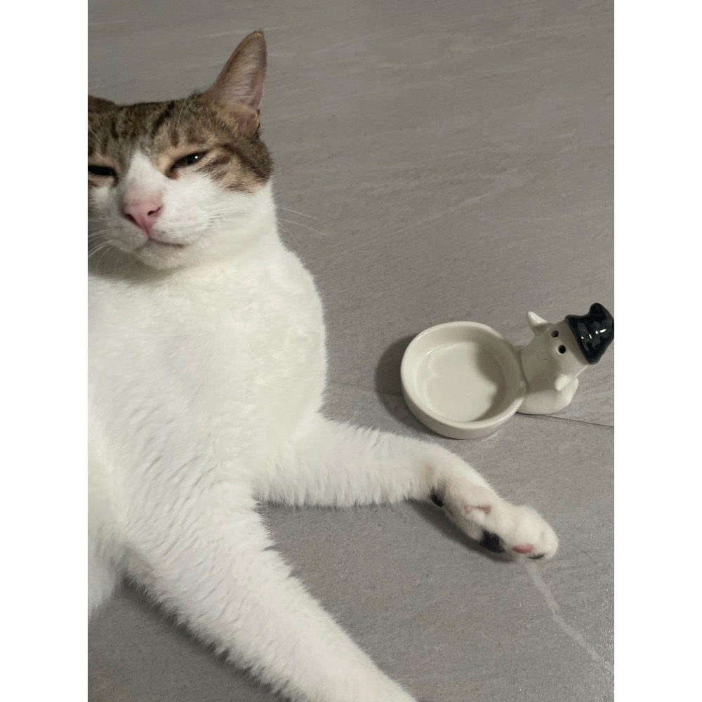 黑帽幽靈 燭台-細節圖4