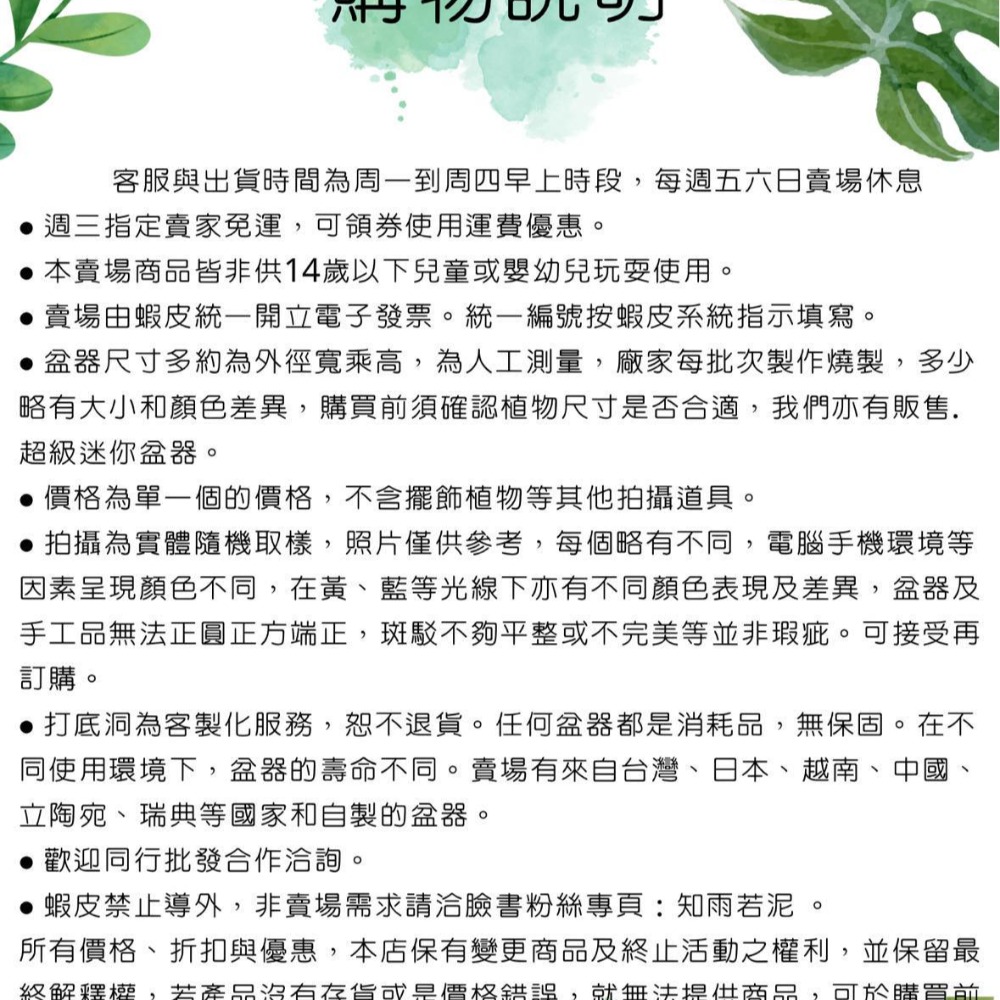 知雨若泥 水泥花盆 多肉植物 乾燥花永生花組盆 辦公室小物盆栽•空氣鳳梨山烏龜•台灣現貨•獨家花器水晶盆器淺盆•大小雪山-細節圖10