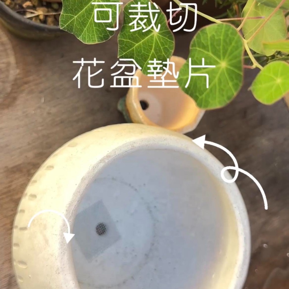 知雨若泥 花盆擋土片 多肉植物防蟲網片•花園盆栽DIY底片•觀葉植物透氣網•園藝資材批發•台灣現貨•防漏網•盆栽塑料墊片-細節圖7