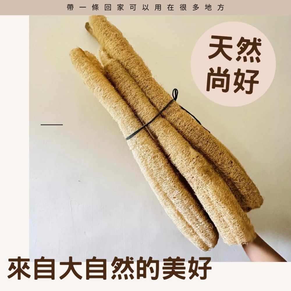 知雨若泥 天然絲瓜絡菜瓜布•現貨台灣小農自曬•沐浴巾搓澡洗澡不沾鍋洗碗布洗車刷具•教學道具DIY寵物用品 永生花多肉組盆-細節圖2