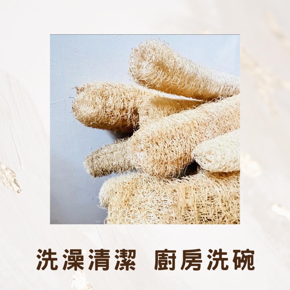 知雨若泥 天然絲瓜絡菜瓜布•現貨台灣小農自曬•沐浴巾搓澡洗澡不沾鍋洗碗布洗車刷具•教學道具DIY寵物用品 永生花多肉組盆-細節圖3