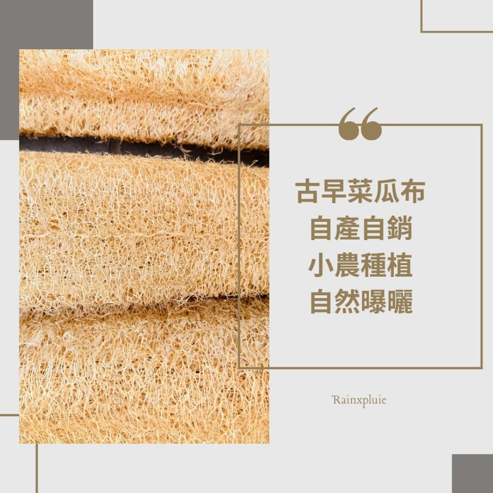 知雨若泥 天然絲瓜絡菜瓜布•現貨台灣小農自曬•沐浴巾搓澡洗澡不沾鍋洗碗布洗車刷具•教學道具DIY寵物用品 永生花多肉組盆-細節圖4