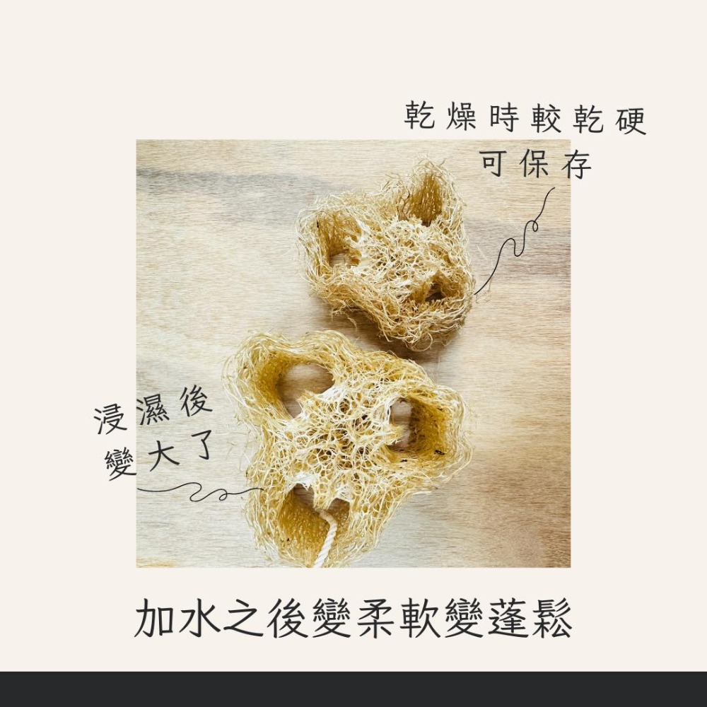 知雨若泥 天然絲瓜絡菜瓜布•現貨台灣小農自曬•沐浴巾搓澡洗澡不沾鍋洗碗布洗車刷具•教學道具DIY寵物用品 永生花多肉組盆-細節圖5