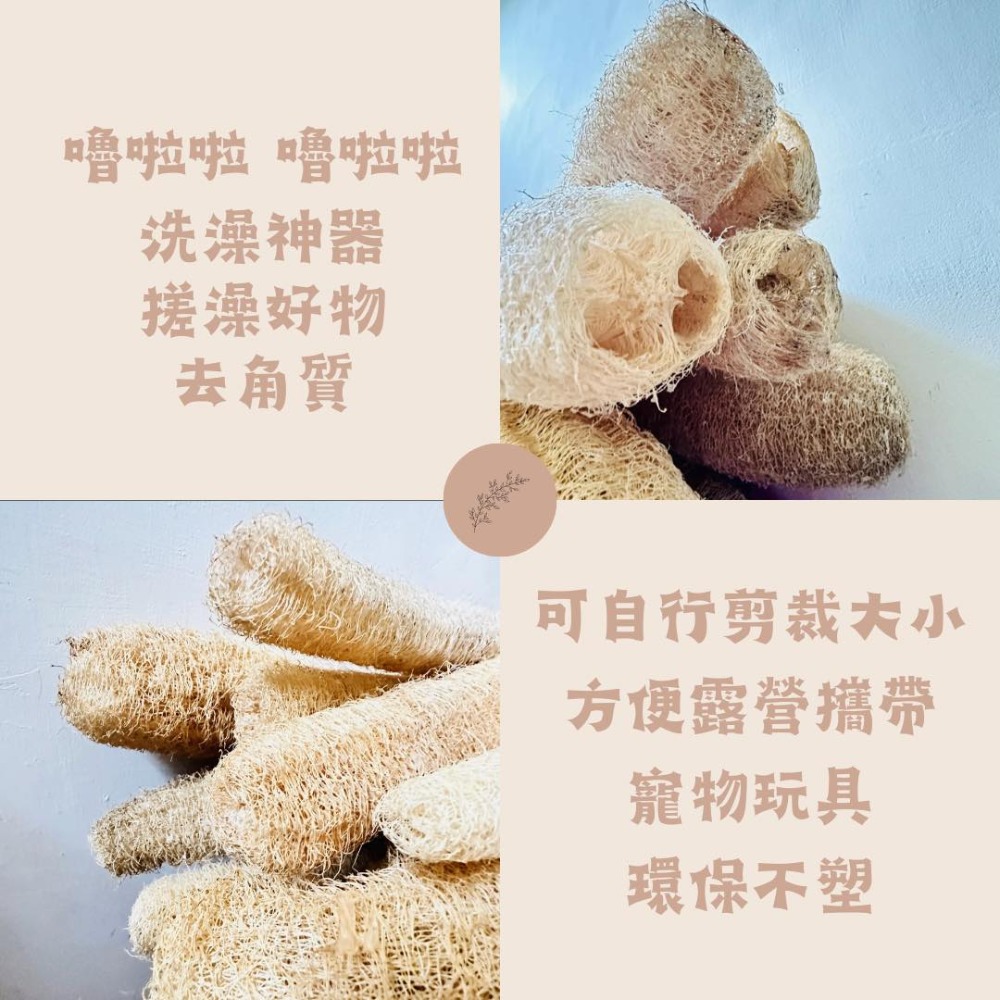 知雨若泥 天然絲瓜絡菜瓜布•現貨台灣小農自曬•沐浴巾搓澡洗澡不沾鍋洗碗布洗車刷具•教學道具DIY寵物用品 永生花多肉組盆-細節圖7