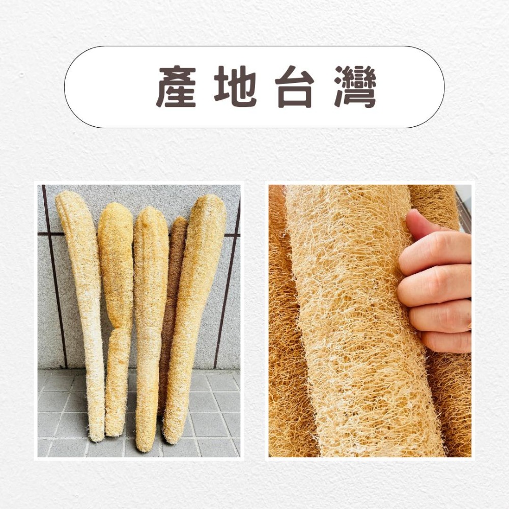 知雨若泥 天然絲瓜絡菜瓜布•現貨台灣小農自曬•沐浴巾搓澡洗澡不沾鍋洗碗布洗車刷具•教學道具DIY寵物用品 永生花多肉組盆-細節圖8