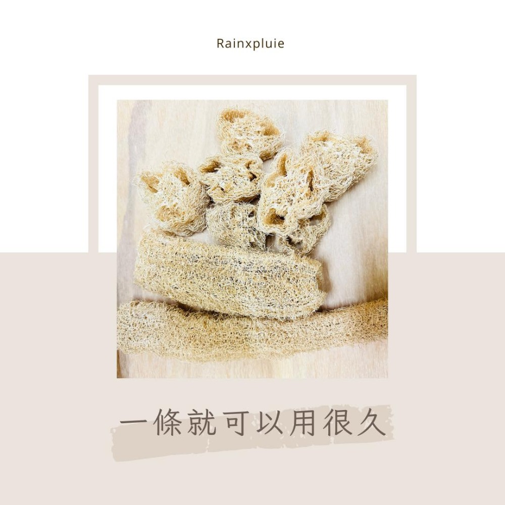 知雨若泥 天然絲瓜絡菜瓜布•現貨台灣小農自曬•沐浴巾搓澡洗澡不沾鍋洗碗布洗車刷具•教學道具DIY寵物用品 永生花多肉組盆-細節圖10