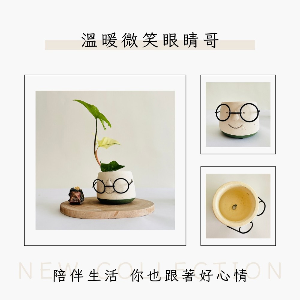 花盆王 知雨若泥 眼鏡哥INS水泥盆花器盆器花瓶乾燥花永生花水晶組盆•多肉觀葉植物山烏龜盆栽•空氣鳳梨彩葉芋園藝水族造景-細節圖2