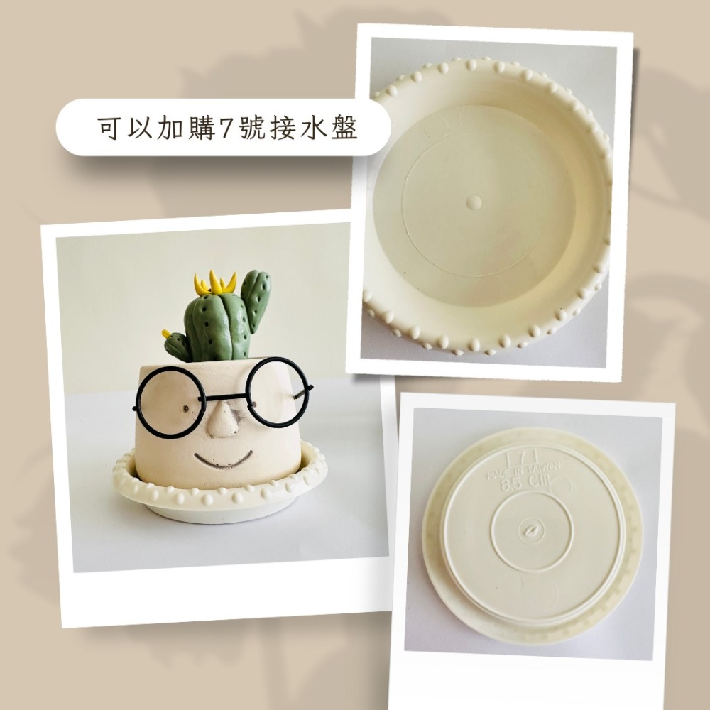 花盆王 知雨若泥 眼鏡哥INS水泥盆花器盆器花瓶乾燥花永生花水晶組盆•多肉觀葉植物山烏龜盆栽•空氣鳳梨彩葉芋園藝水族造景-細節圖8