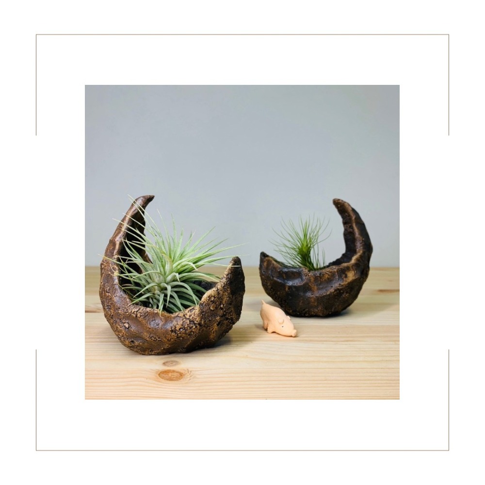 花盆王 知雨若泥 花器松柏小品種子塊根盆栽•空氣鳳梨手捏陶盆陶器•乾燥花瓶微景水晶收納展示架•台灣製現貨•月下搖籃-細節圖2