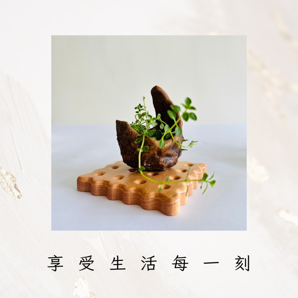 花盆王 知雨若泥 花器松柏小品種子塊根盆栽•空氣鳳梨手捏陶盆陶器•乾燥花瓶微景水晶收納展示架•台灣製現貨•月下搖籃-細節圖8