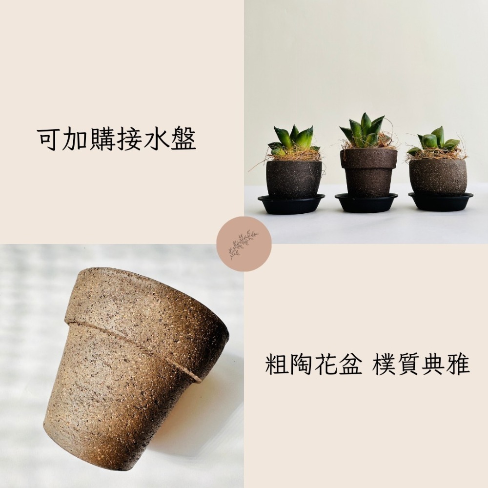 花盆王 知雨若泥 復古黑色透氣陶盆 多肉室內植物種子塊根盆栽•永生花乾燥花水晶組盆•台灣現貨盆器批發•園藝工具資材-細節圖3