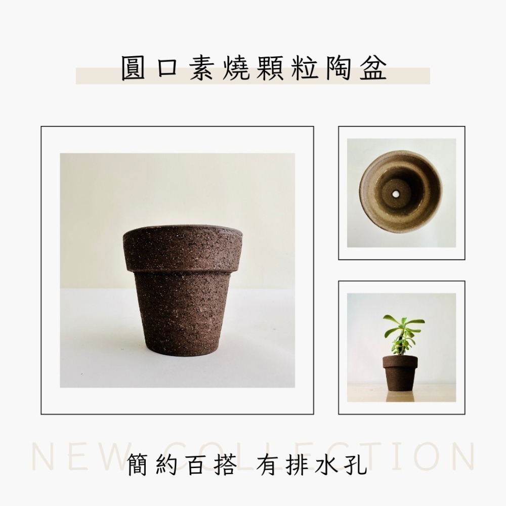 花盆王 知雨若泥 復古黑色透氣陶盆 多肉室內植物種子塊根盆栽•永生花乾燥花水晶組盆•台灣現貨盆器批發•園藝工具資材-細節圖5