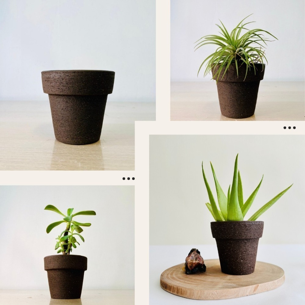 花盆王 知雨若泥 復古黑色透氣陶盆 多肉室內植物種子塊根盆栽•永生花乾燥花水晶組盆•台灣現貨盆器批發•園藝工具資材-細節圖10