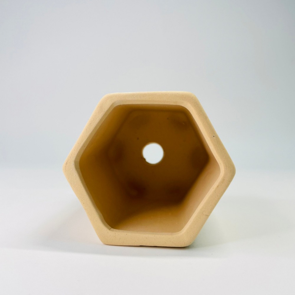 花盆王 知雨若泥 多肉盆栽批發•美術課•可手繪DIY彩繪花盆•創作素胚陶盆•台灣出貨•居家園藝•素雅素燒透氣膚色六角盆-細節圖7