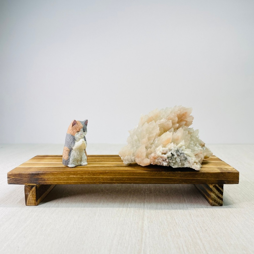 花盆王 知雨若泥 盆栽木座•花園造景•花架木架•桌面裝飾•園藝•礦石展示•台灣現貨•木頭擺件展示架高底座 直立款-細節圖3