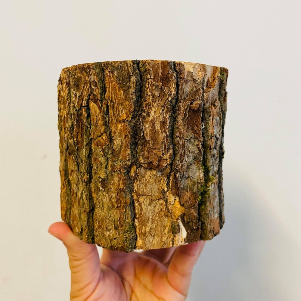 花盆王 知雨若泥 自製火炬•櫥窗展示攝影道具•空氣鳳梨•日式樟木頭擺件•園藝造景•水晶•展示架台灣現貨 聖誕樹底座-細節圖3