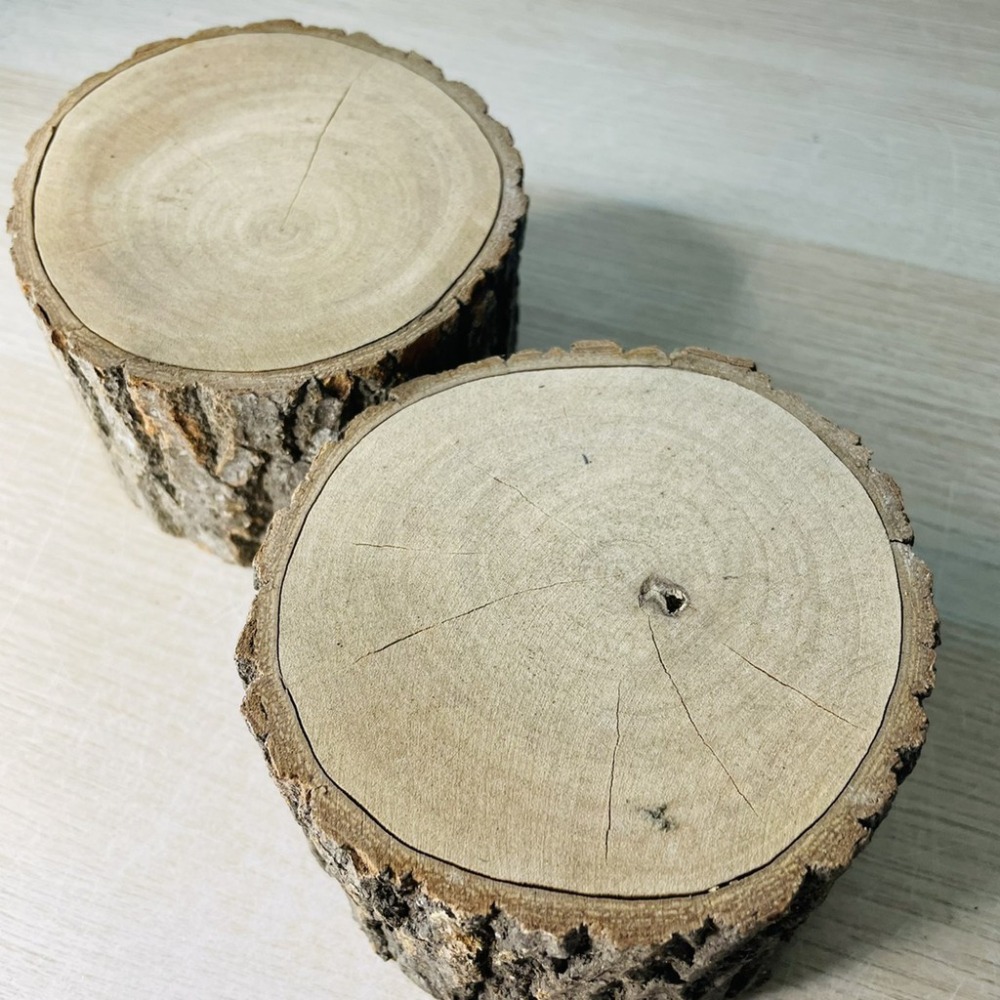 花盆王 知雨若泥 自製火炬•櫥窗展示攝影道具•空氣鳳梨•日式樟木頭擺件•園藝造景•水晶•展示架台灣現貨 聖誕樹底座-細節圖5