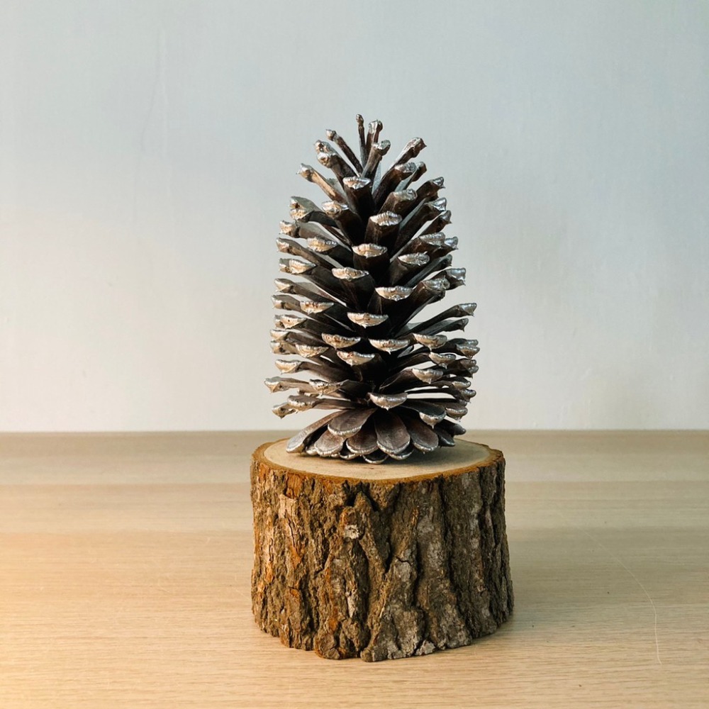 花盆王 知雨若泥 自製火炬•櫥窗展示攝影道具•空氣鳳梨•日式樟木頭擺件•園藝造景•水晶•展示架台灣現貨 聖誕樹底座-細節圖6