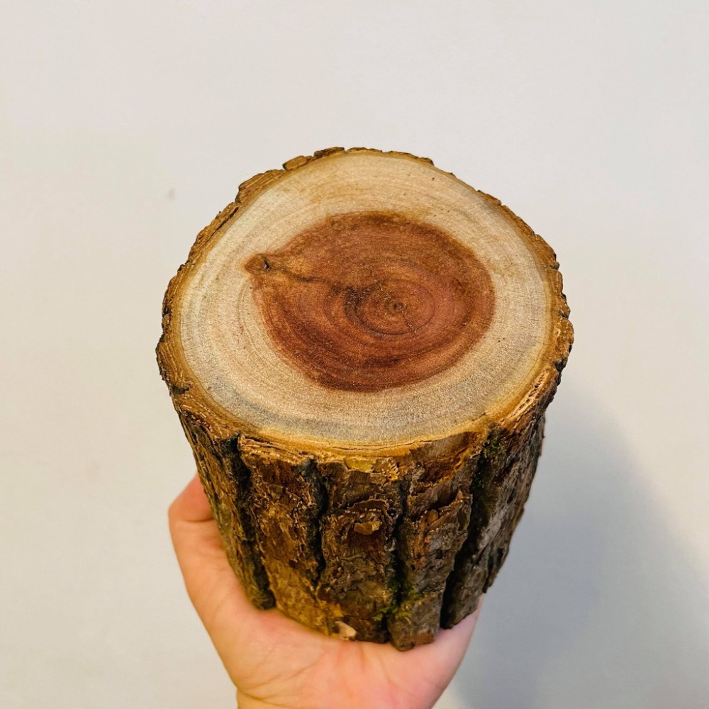 花盆王 知雨若泥 自製火炬•櫥窗展示攝影道具•空氣鳳梨•日式樟木頭擺件•園藝造景•水晶•展示架台灣現貨 聖誕樹底座-細節圖7