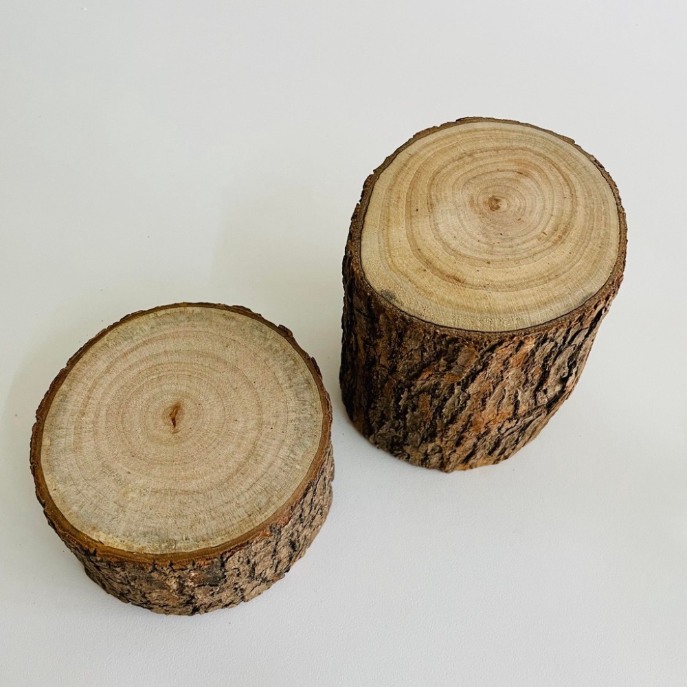 花盆王 知雨若泥 自製火炬•櫥窗展示攝影道具•空氣鳳梨•日式樟木頭擺件•園藝造景•水晶•展示架台灣現貨 聖誕樹底座-細節圖8