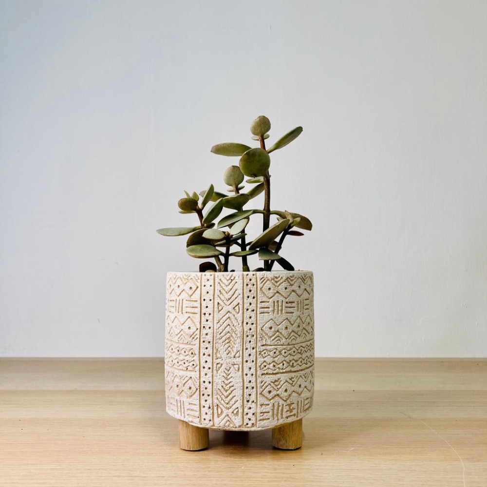 花盆王 知雨若泥 北歐居家生活3吋盆栽•空氣鳳梨花盆•乾燥花園藝造景聖誕裝飾•台灣出貨•白色上古圖騰 木腳水泥盆-細節圖2