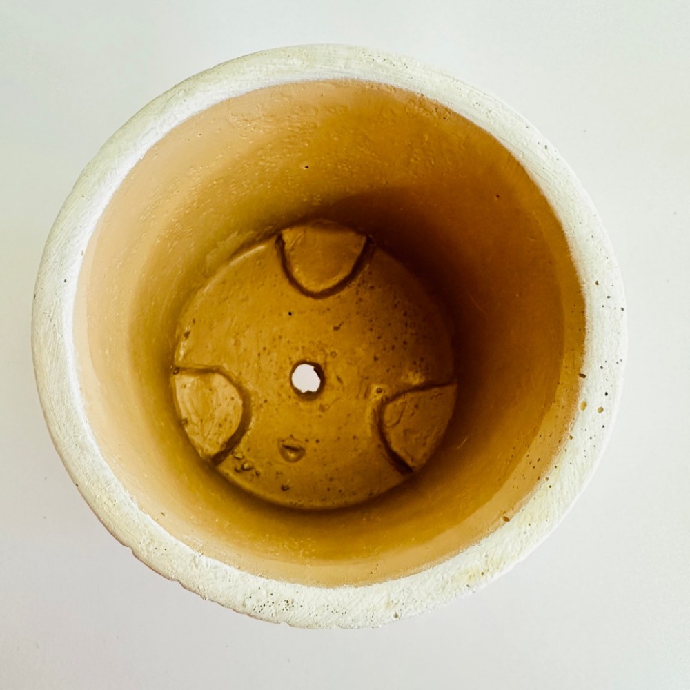 花盆王 知雨若泥 北歐居家生活3吋盆栽•空氣鳳梨花盆•乾燥花園藝造景聖誕裝飾•台灣出貨•白色上古圖騰 木腳水泥盆-細節圖6