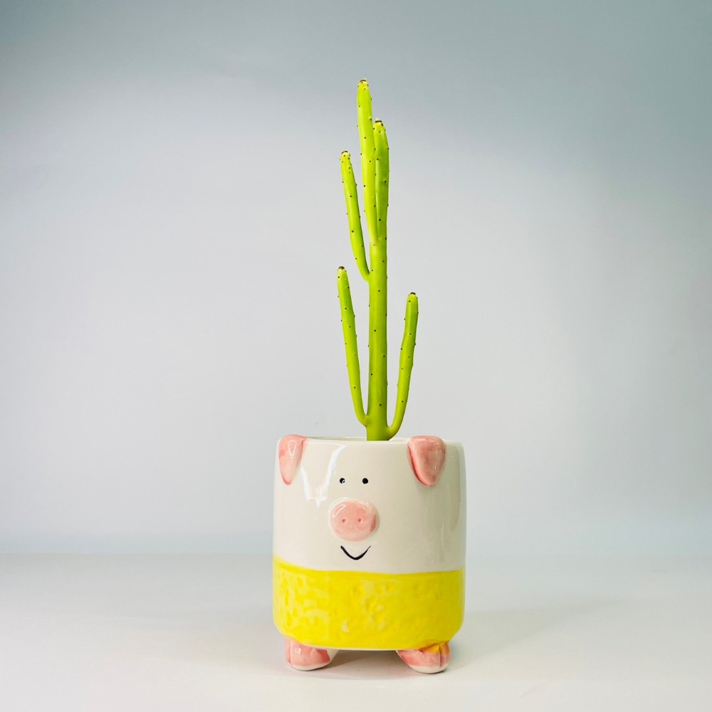 花盆王 知雨若泥 黃肚兜粉紅小豬陶瓷盆栽植物花瓶多肉花器 筆筒文具化妝品收納 畢業婚禮佈置辦公室小物生日禮物DIY台灣-細節圖2