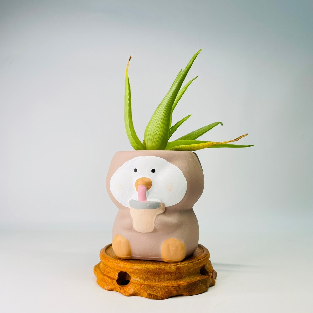 花盆王 知雨若泥 小企鵝喝珍奶陶瓷盆栽植物花瓶多肉花器 筆筒文具化妝品收納 畢業婚禮佈置辦公室小物生日禮物DIY台灣-細節圖2