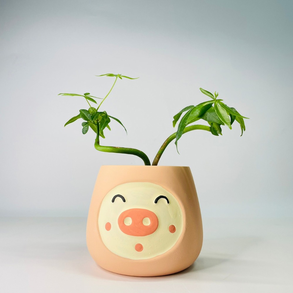 花盆王 知雨若泥 小豬表情花盆陶瓷盆栽植物花瓶多肉花器 筆筒文具化妝品收納 畢業婚禮佈置辦公室小物生日禮物DIY台灣-細節圖3