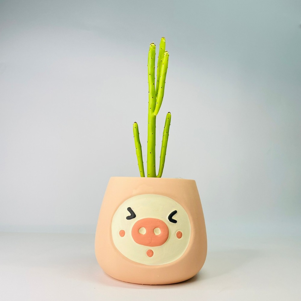 花盆王 知雨若泥 小豬表情花盆陶瓷盆栽植物花瓶多肉花器 筆筒文具化妝品收納 畢業婚禮佈置辦公室小物生日禮物DIY台灣-細節圖4