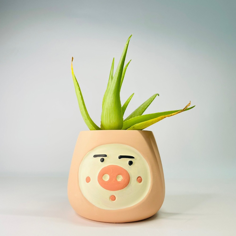 花盆王 知雨若泥 小豬表情花盆陶瓷盆栽植物花瓶多肉花器 筆筒文具化妝品收納 畢業婚禮佈置辦公室小物生日禮物DIY台灣-細節圖5