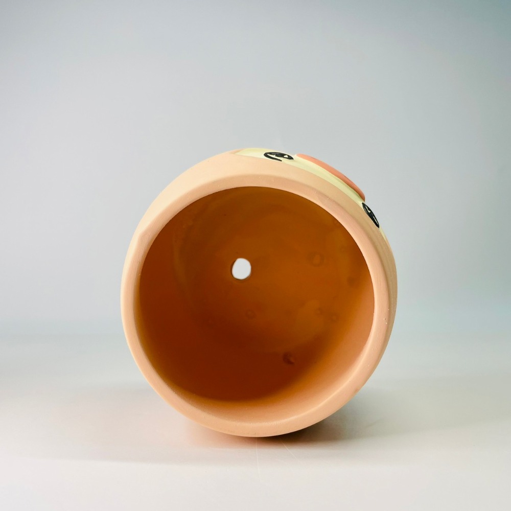 花盆王 知雨若泥 小豬表情花盆陶瓷盆栽植物花瓶多肉花器 筆筒文具化妝品收納 畢業婚禮佈置辦公室小物生日禮物DIY台灣-細節圖9