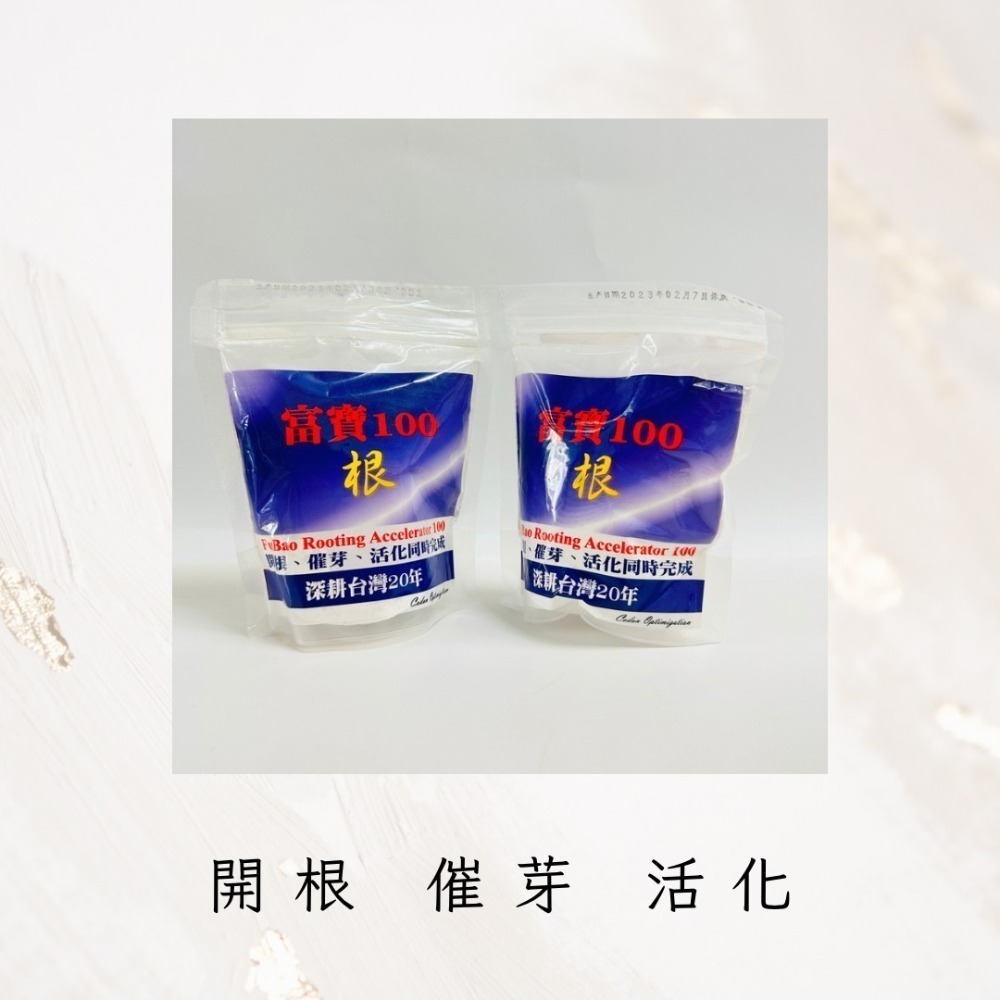 花盆王 知雨若泥 富寶100粉劑 開根 台灣製現貨植物肥料  切口高壓條嫁接扦插 切芽分株多肉塊根蘭花雞蛋花-細節圖3