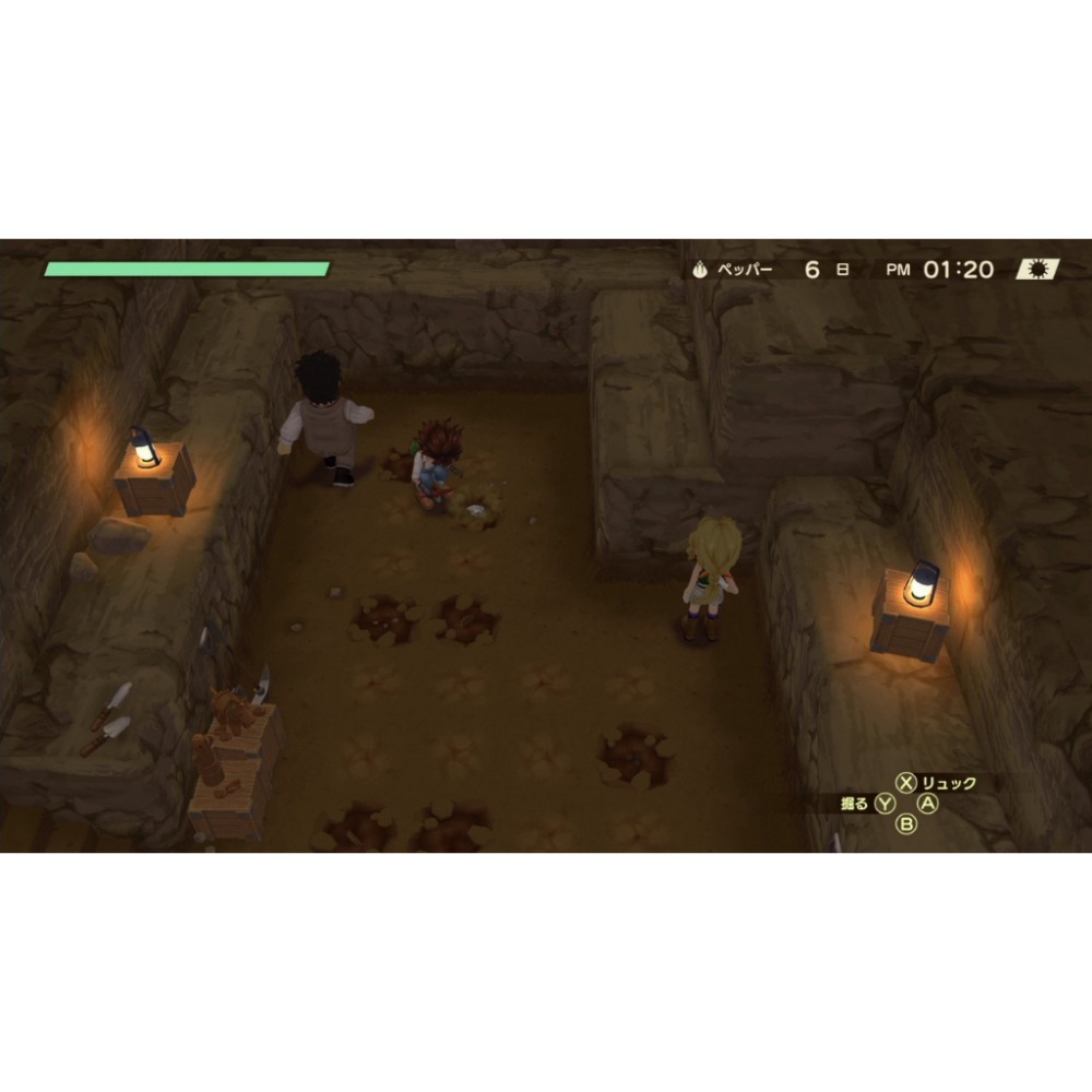 【艾達電玩】全新現貨 NS Switch 牧場物語 Welcome！美麗人生 中文版-細節圖4