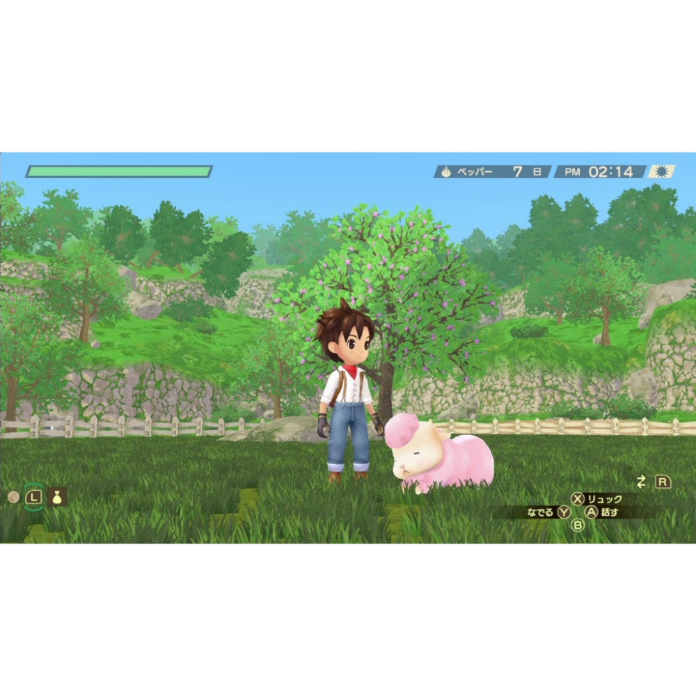 【艾達電玩】全新現貨 NS Switch 牧場物語 Welcome！美麗人生 中文版-細節圖7