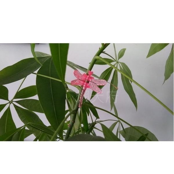 蜻蜓造型集線器 園藝夾 蜻蜓造型夾子 蝴蝶造型集線器 菊花夾 蘭花夾 收線器 耳機線收納夾 電線固定器 蝴蝶造型夾子-細節圖4