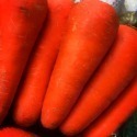 🥕【產銷履歷】胡蘿蔔🥕🇩🇪吉屋商行 Geo All🇩🇪給家人安心的好食材，一次限購10組-規格圖3