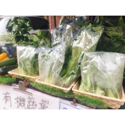 安全有機蔬菜箱15樣 7菜3根莖2瓜果2菇1水果 🇩🇪吉屋商行Geo All🇩🇪-細節圖5