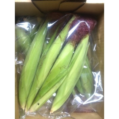 安全有機蔬菜箱15樣 7菜3根莖2瓜果2菇1水果 🇩🇪吉屋商行Geo All🇩🇪-細節圖6