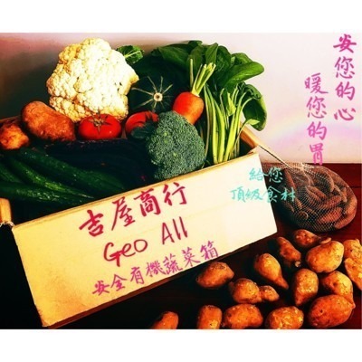 安全有機蔬菜箱15樣 7菜3根莖2瓜果2菇1水果 🇩🇪吉屋商行Geo All🇩🇪-細節圖8