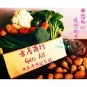 安全有機蔬菜箱15樣 7菜3根莖2瓜果2菇1水果 🇩🇪吉屋商行Geo All🇩🇪-規格圖8